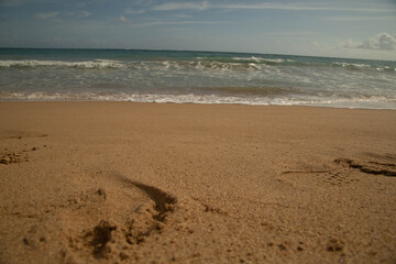 Home to miles of golden and white-sand beaches backed by striped emerald, turquoise, and deep blue hues, Puerto Rico