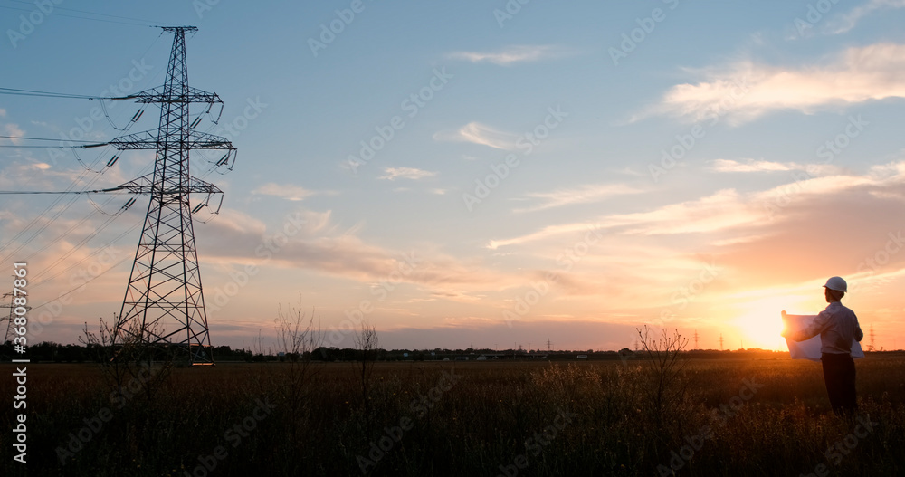Wall mural an engineer with a poster stands in the middle of a field and looks towards a high-voltage power lin