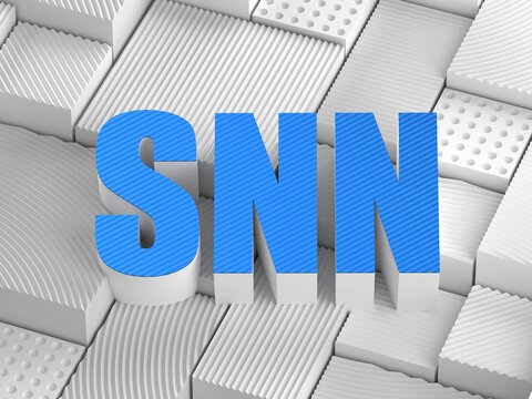 SNN acronym (Simulated Neural Network)