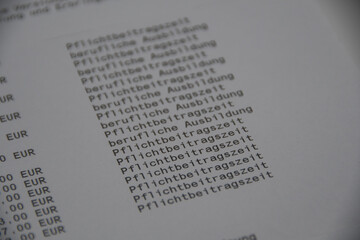 Excerpt from the German Pension Insurance