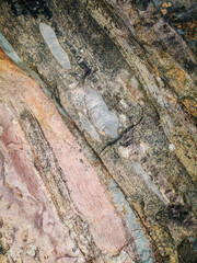 Grey, white, light pink and black rock