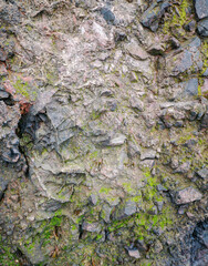 Grey, white and black rock