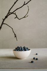 Fototapeta na wymiar Fresh ripe blueberry in ivory bowl on grey background with black branch. Black food concept 
