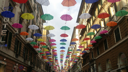 umbrellas colors