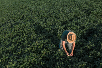 Aerial view of soybean farmer working in the field from drone pov