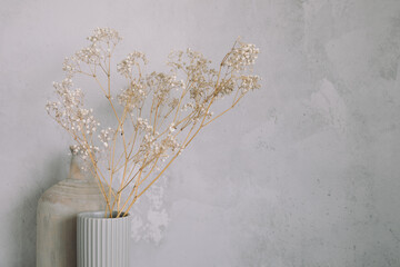 Decorative floral branches of gypsophila in vases against concrete wall. Copy space, home minimalistic decor.