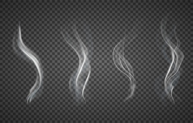 Assorted realistic plumes of smoke on a transparent background for design elements, vector illustration