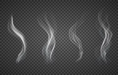 Fototapeten Assorted realistic plumes of smoke on a transparent background for design elements, vector illustration © Rudzhan