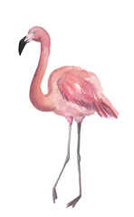 Watercolor pink flamingos on a white background. Illustration for print, posters, cards, scrapbooking and other types of design