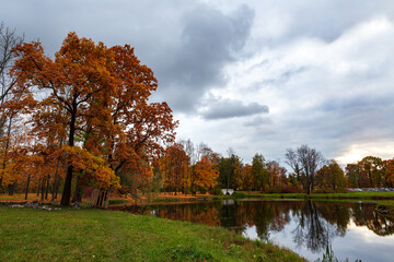 Golden fall. Trees with bright fiery orange foliage lean towards the lake. Autumn day with cloudy sky