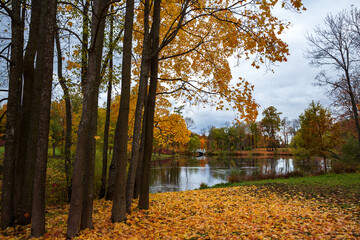Autumn Park with orange and gold fallen leaves, lake and sky in clouds. Russian Golden autumn, Indian summer.
