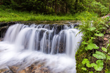 Smooth abstract water cascade at Jelen wild river. Nature water landscape. Landscape park Solska forest at Roztocze, Poland, Europe.