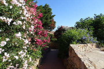 Sardinia, Italy area