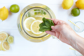 Women's hands making fresh homemade lemonade. Woman pouring mint in the lemonade dispenser.