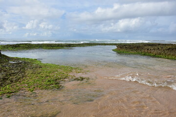 Praia Nordeste Brasil