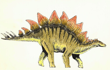 Stegosaurus © Michael Artist