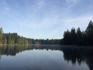 reflection of trees in lake