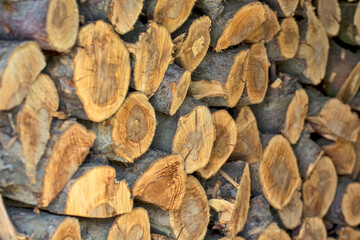 Firewood on the crowd