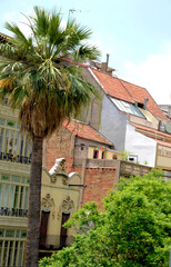 AVENIDAS, PUENTES, PASOS A DESNIVEL Y VEGETACIÓN, SON LOS QUE VISTEN A LA CIUDAD DE BARCELONA