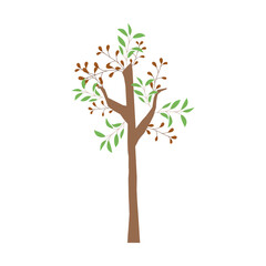 Fototapeta premium forest tree branches leaves foliage greenery cartoon design