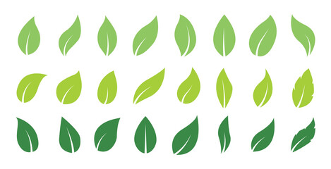 Green abstract leaf icons. Natural greens young plants pictograms and leaf or forest branch leaves. Vector isolated icons set