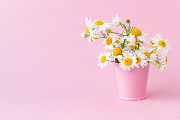 Floral arrangement with white daisies standing in a pink bucket on a light pink background. Copy space