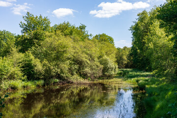 Fototapeta na wymiar Romantic pond in the Loire Valley Countryside - near Langeais - France