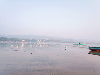 boats on the beach