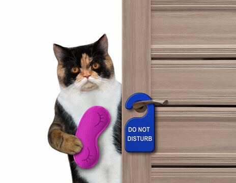 The Multi Colored Cat With A Purple Sleep Mask Closes The Door Of His Hotel Room.  A Blue Sign With Text Do Not Disturb Is Hanging On A Doorknob. White Background. Isolated.