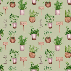 Provence herbs in watercolor