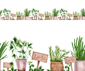 Provence herbs in watercolor