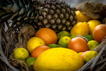 fruits 