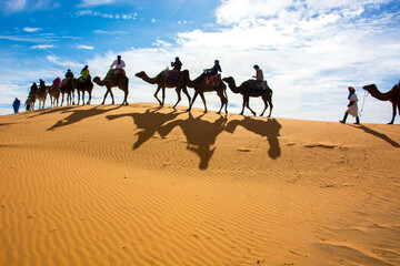 Fototapeta premium Camel rides in the Sahara Desert of Morocco, North Africa