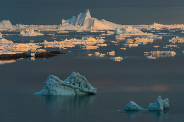 Icebergs floating in fjord, Greenland