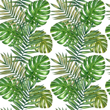 Hand painted watercolor palm and monstera leaves seamless pattern.