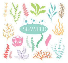 Aquarium and seas seaweed. Ocean coral flora, underwater different water plants.