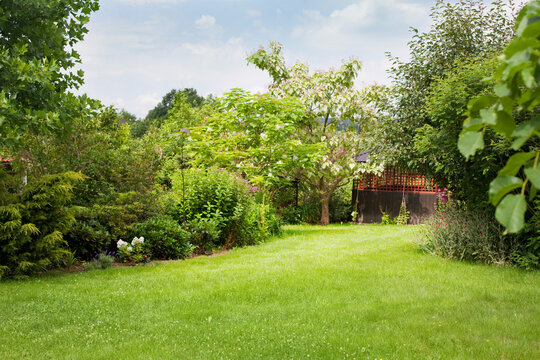Summer house in the beautiful backyard green garden landscape and fresh, green lawn background with a lot pf space.