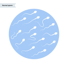 Reproductive system concept