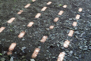 Obraz premium The sun's reflection shows a pattern on the ground.