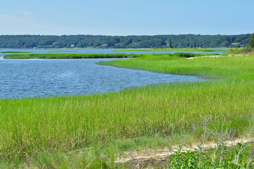 A sweeping expanse of salt marsh in Stony Brook Harbor, Long Island, NY.  Copy space. - obrazy, fototapety, plakaty