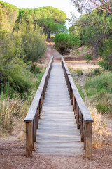 Fototapeta na wymiar Perspective shot of a wooden walk way