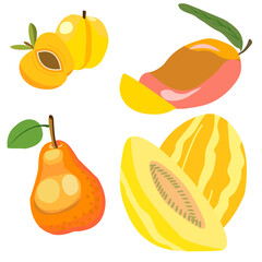 Fruit set of honey color, Sunny bright fruits-pear, melon, apricot and mango. Decorate cards, labels and menus
