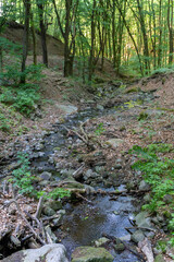 Small creek in the Pilis mountains