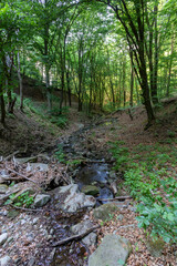 Small creek in the Pilis mountains