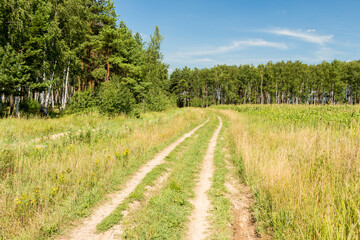Fototapeta na wymiar Road in field near forest, Moscow region, Russia