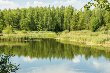 Fototapeta na wymiar Little lake and forest in Noginsk area, Moscow region, Russia