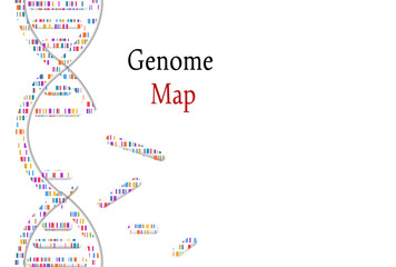 DNA test, genom map. Mosaic genome and distressed stamp seal with Genome phrase. Vector illustration.