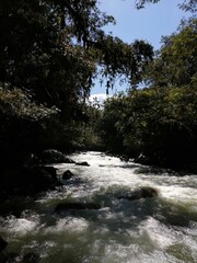 Fototapeta premium RIO AL ATARDECER 2