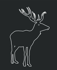 Deer vector line contour illustration isolated on white background. Reindeer, proud noble deer male. Powerful buck with huge antlers standing.