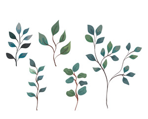 set of branches with leaves, nature decoration vector illustration design